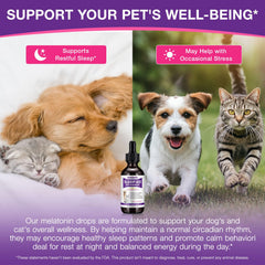 VOFANK Melatonin for Dogs drops usage demonstrates simple administration before bedtime.