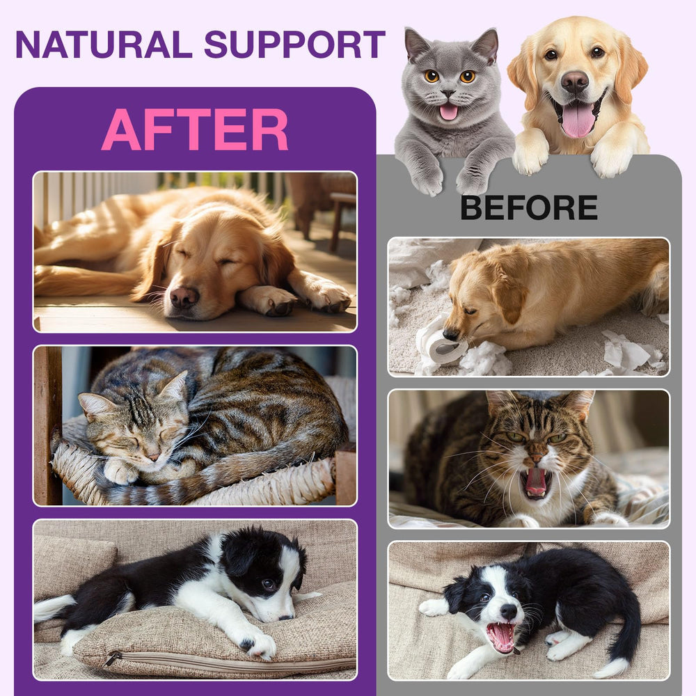 VOFANK Melatonin for Dogs sleep aid supports deeper, more rejuvenating sleep.
