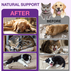 VOFANK Melatonin for Dogs sleep aid supports deeper, more rejuvenating sleep.