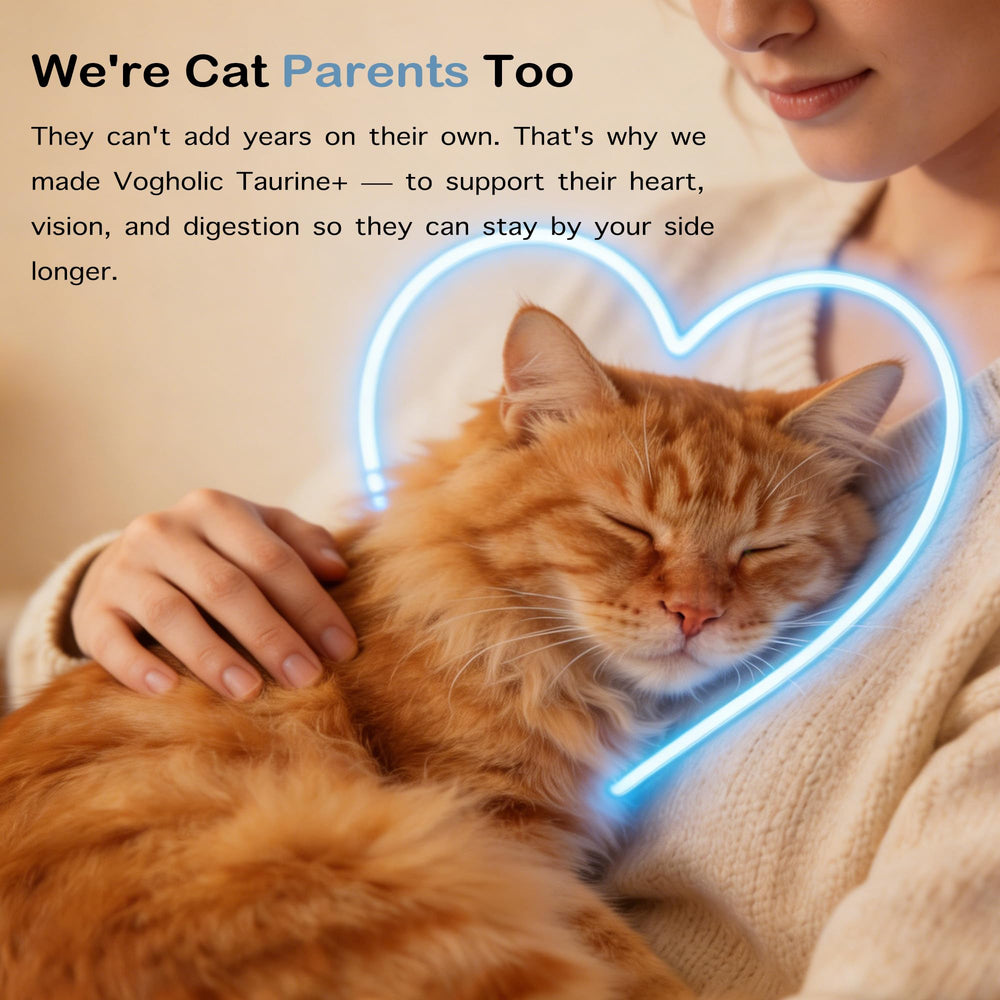 Vogholic Taurine Powder for Cats healthy-coat close-up highlights potential coat shine.