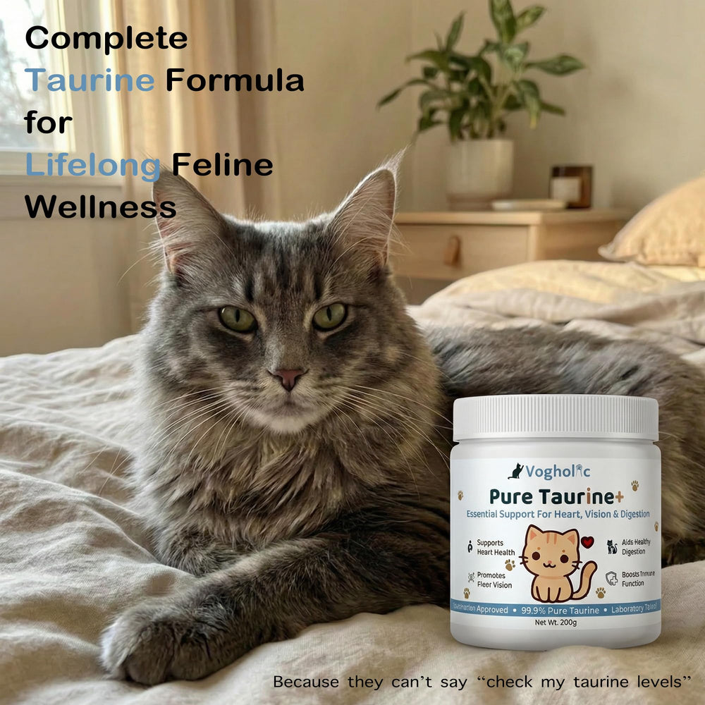 Vogholic Taurine Powder for Cats packaging shows long-lasting 6 oz tub.