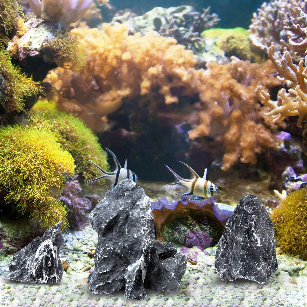 VOKOY Seiryu stones come in 2–6 inch sizes for versatile designs.