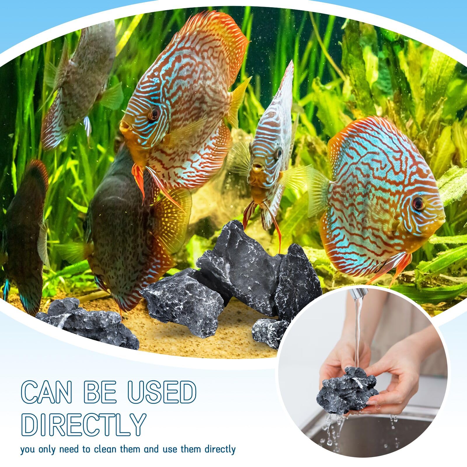 VOKOY Seiryu stones add visual interest to fish tanks and reptile enclosures.