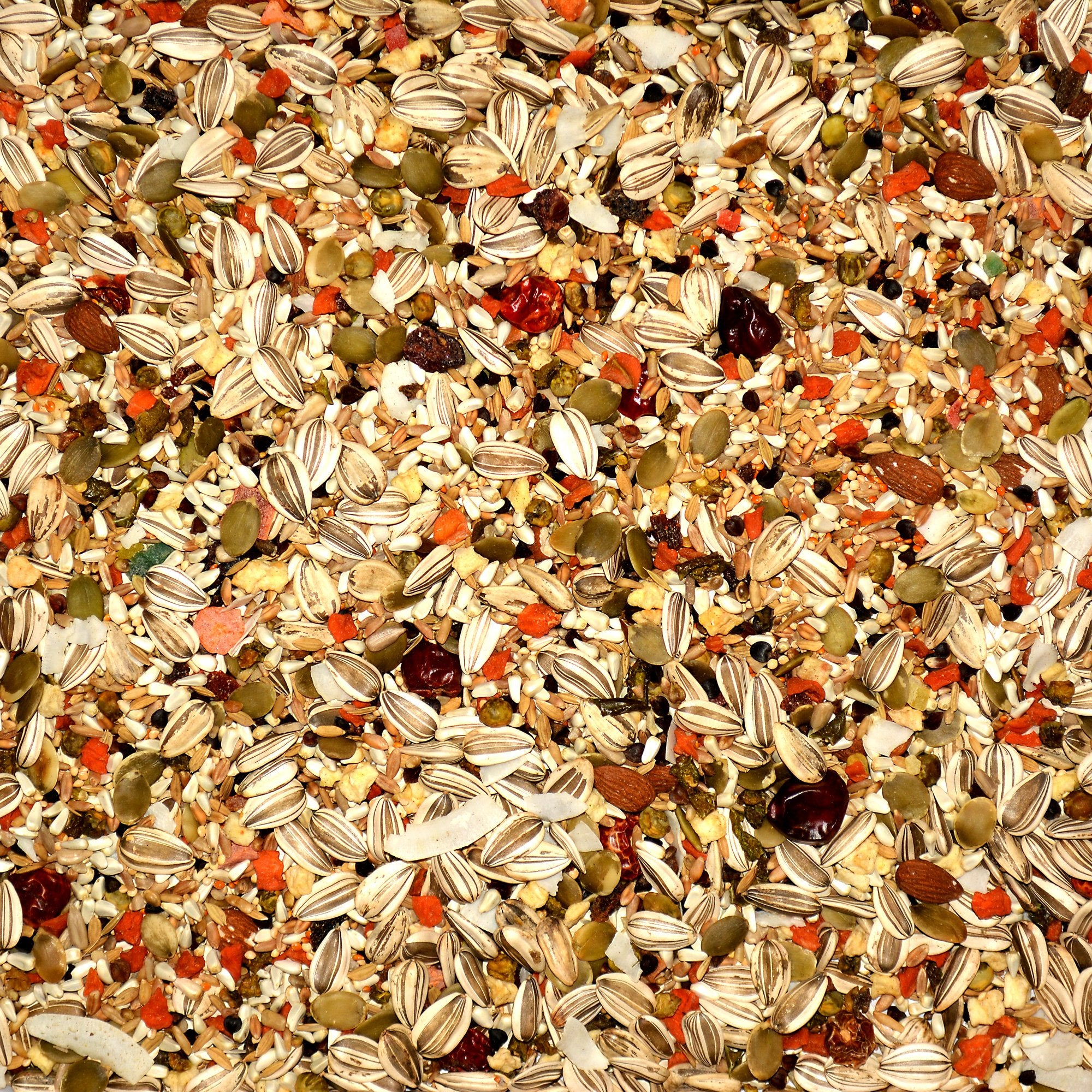 Volkman Avian Science Eclectus mix packaging highlighting natural orange oil preservative and freshness
