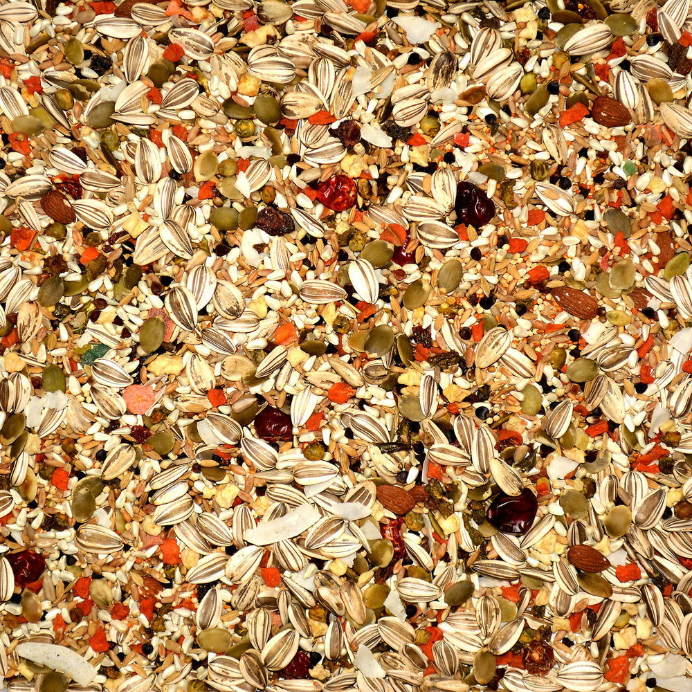 Volkman Avian Science Eclectus mix packaging highlighting natural orange oil preservative and freshness