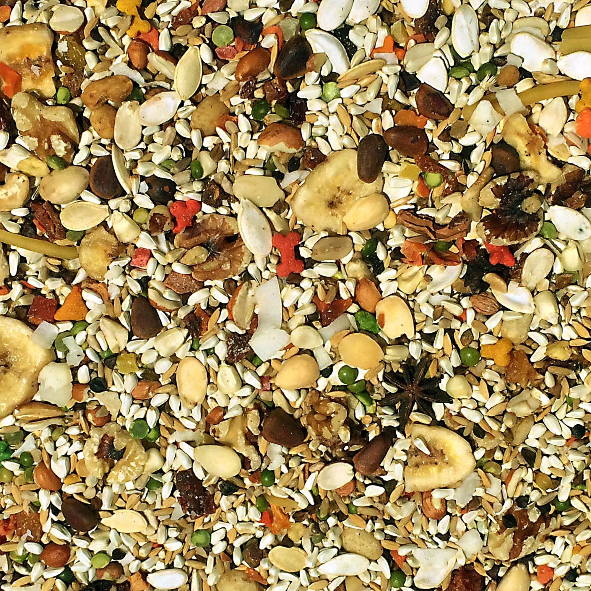 Volkman Avian Science Super African Grey Bird Food nuts and protein sources