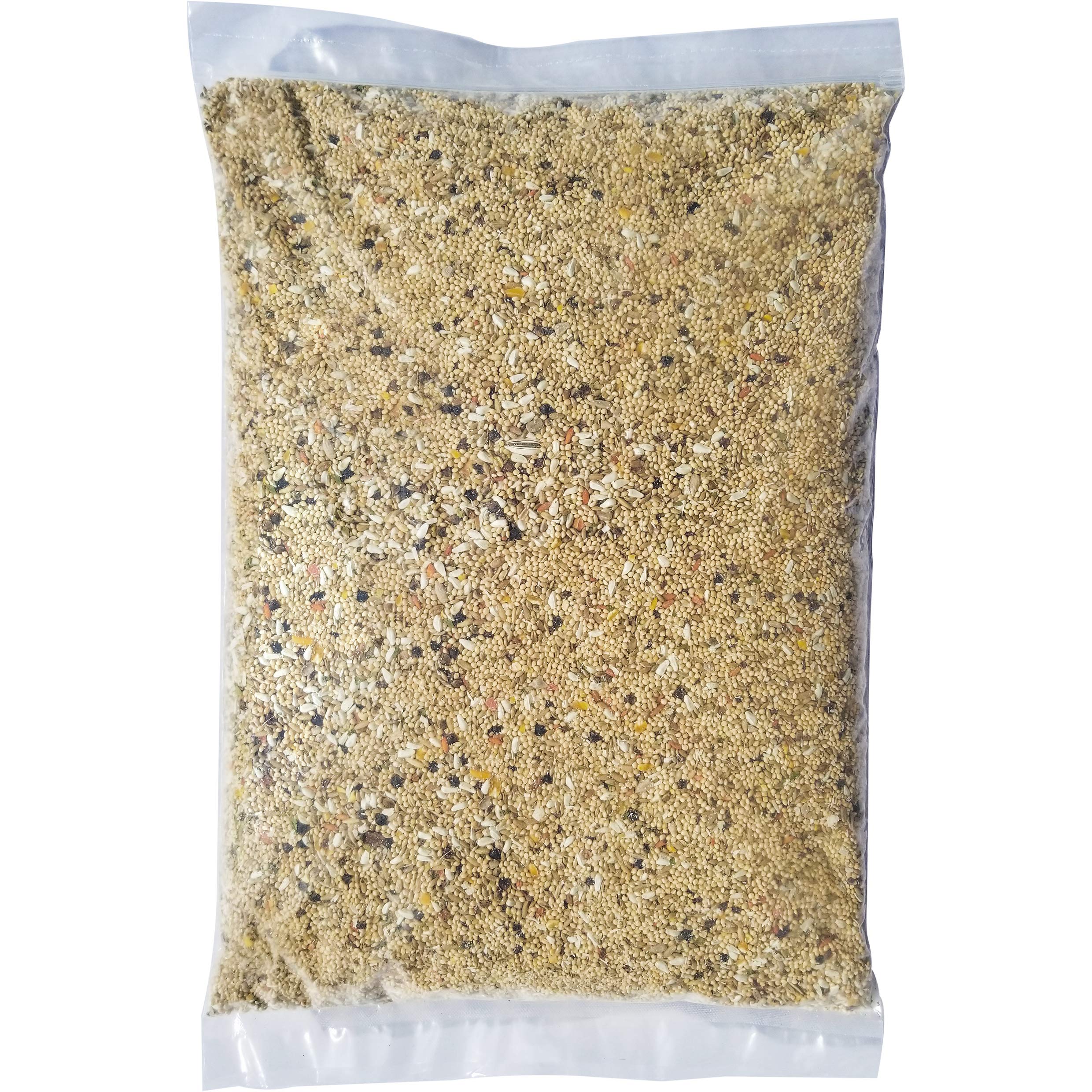 Volkman seed avian science ingredients closeup highlighting natural nutrition