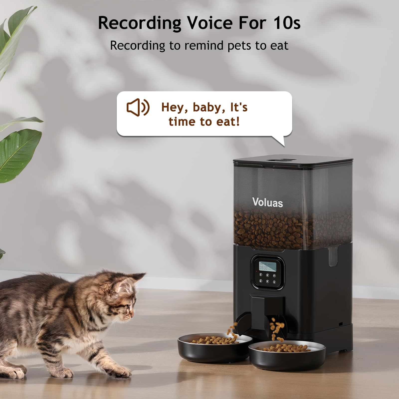 Voluas 10-second message recording greets cats before meals.