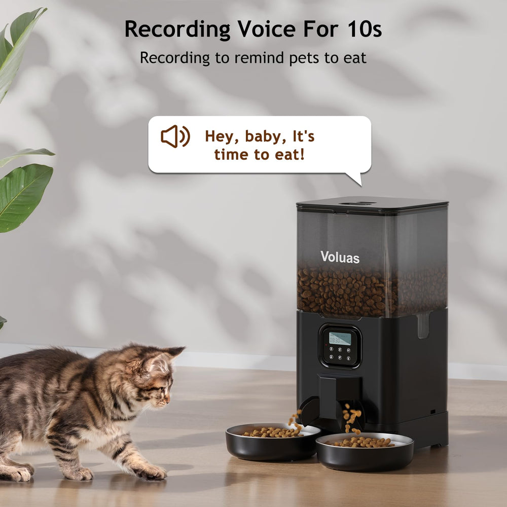 Voluas 10-second message recording greets cats before meals.