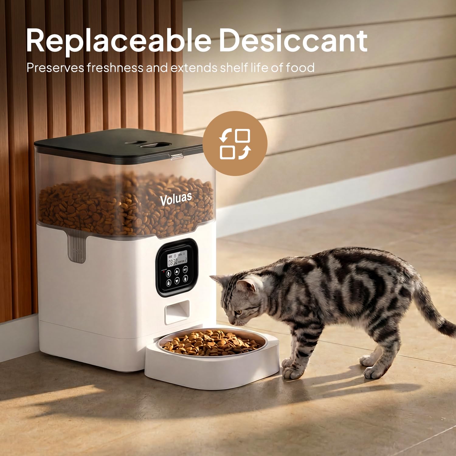 Voluas cat feeder in use demonstrates hands-off feeding