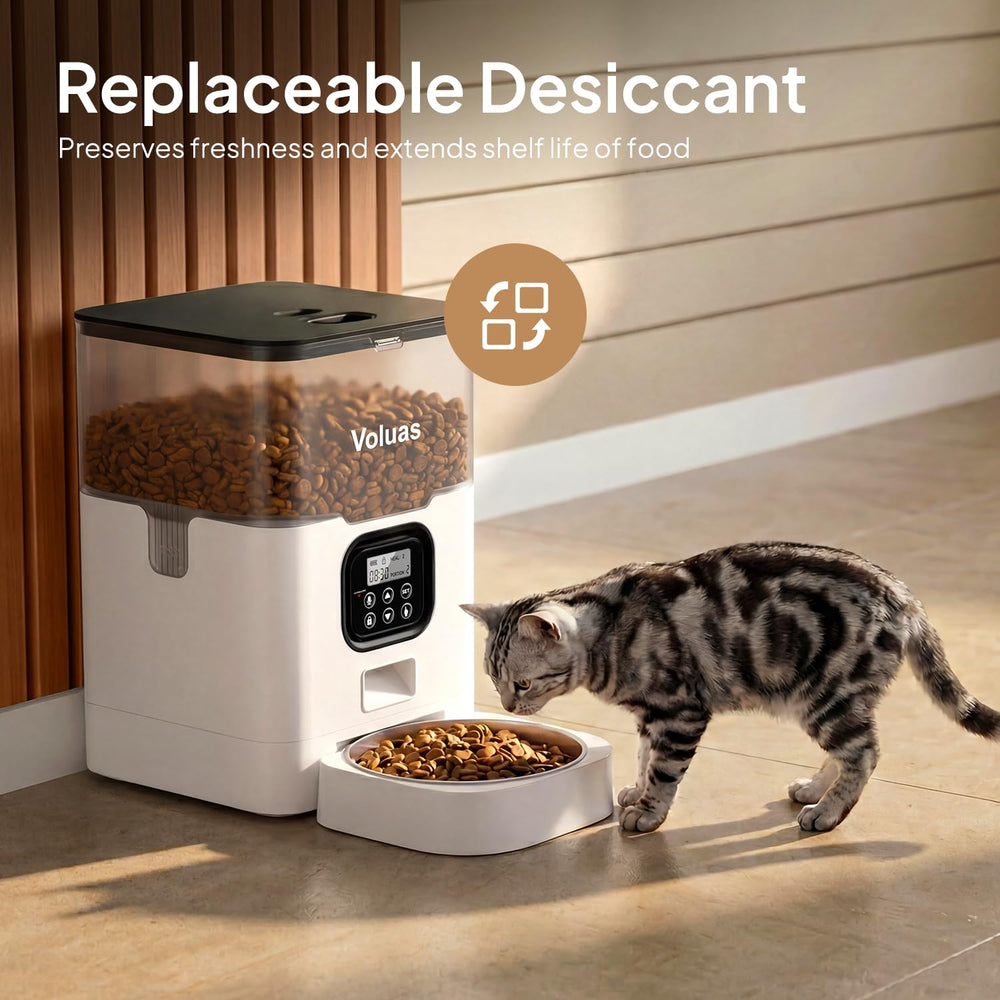 Voluas cat feeder in use demonstrates hands-off feeding