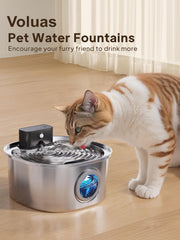Voluas fountain in use demonstrates pet-friendly hydration and smooth water circulation