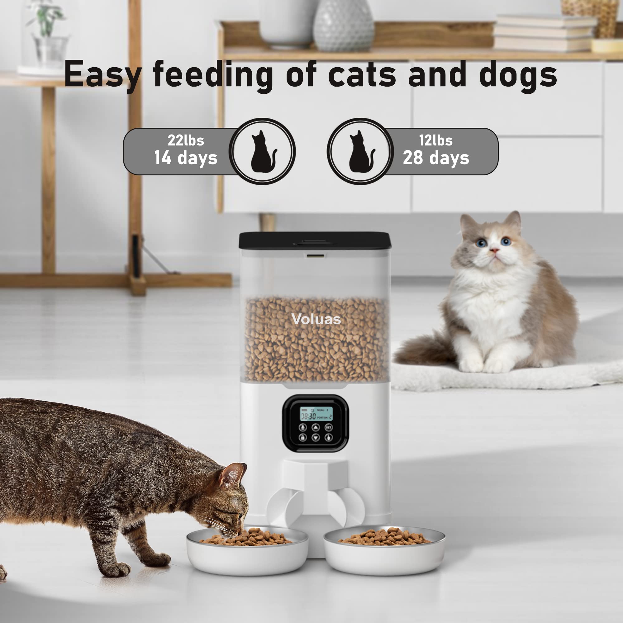 Voluas double cat feeder showing meal divider and two bowls.