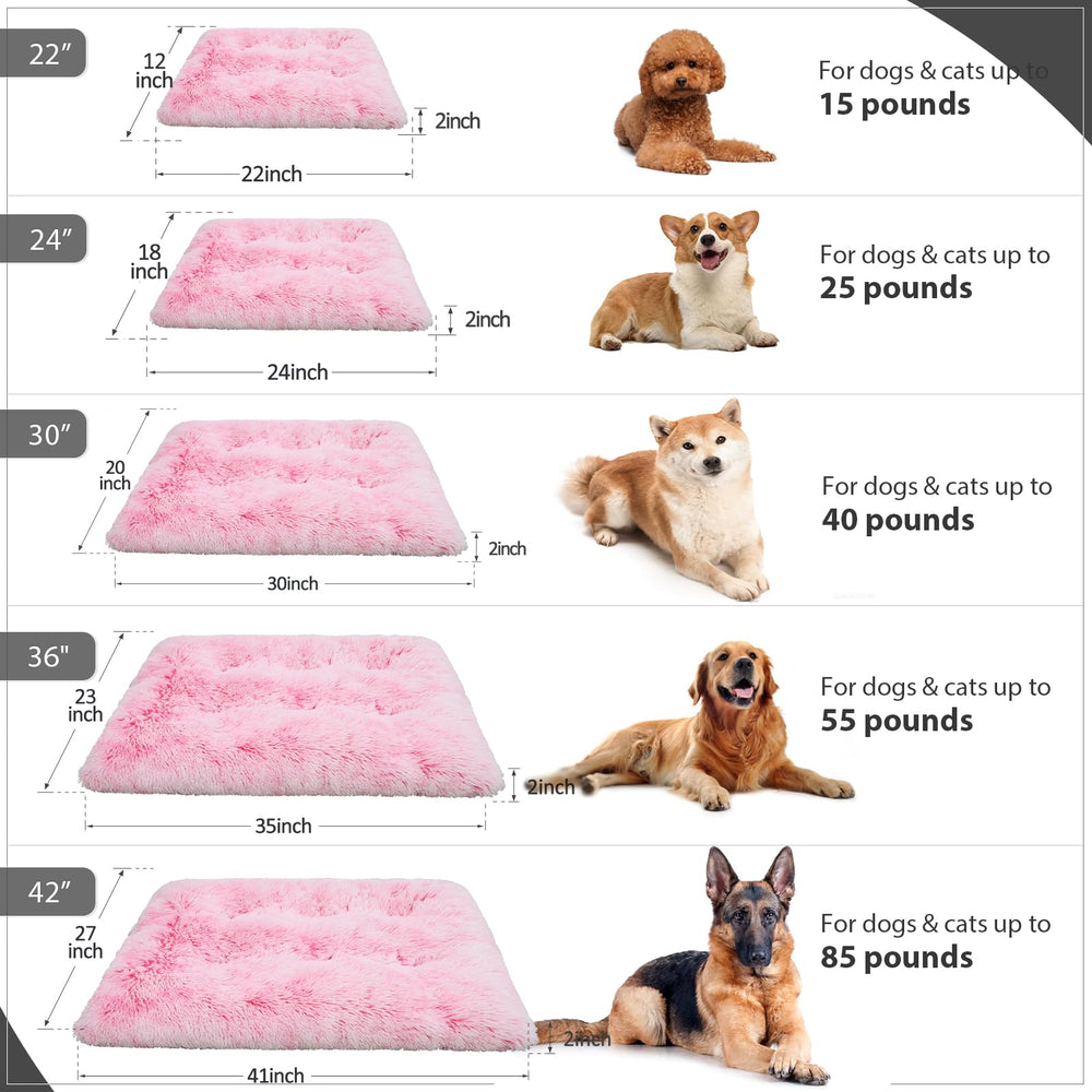 Travel-friendly bed rolls up for car trips and outdoor use