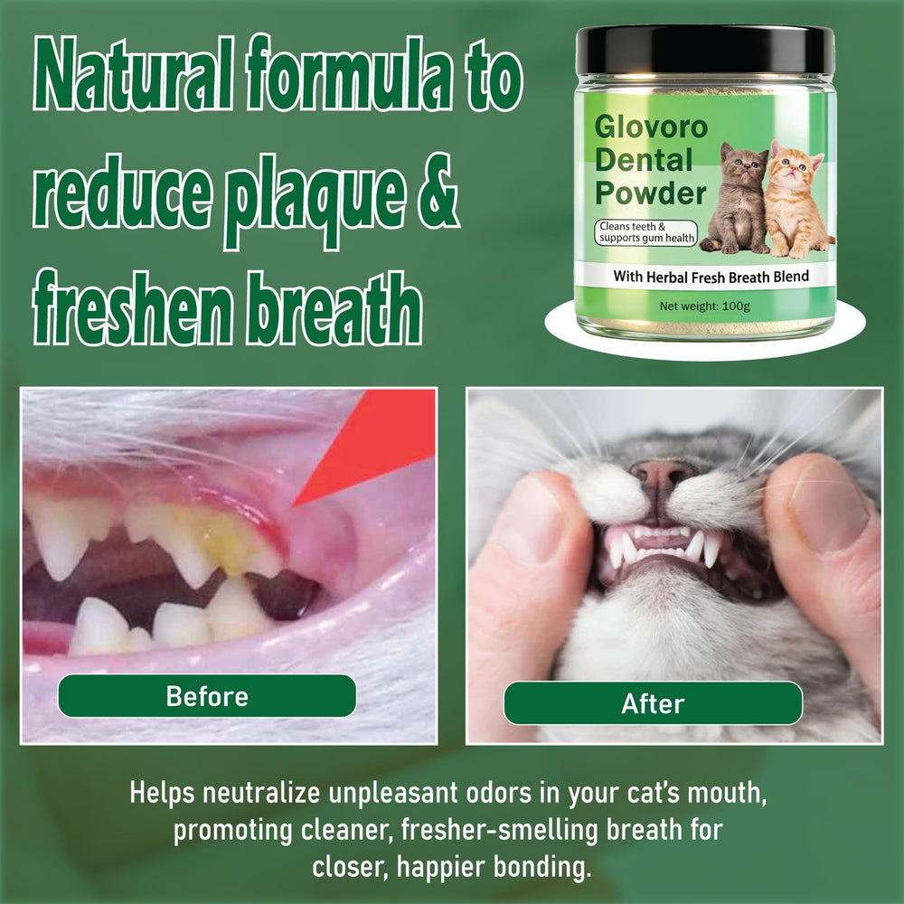 Voorerh Glovoro powder mixed into cat food supports convenient daily care.