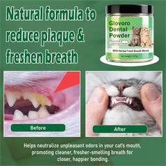 Voorerh Glovoro powder mixed into cat food supports convenient daily care.