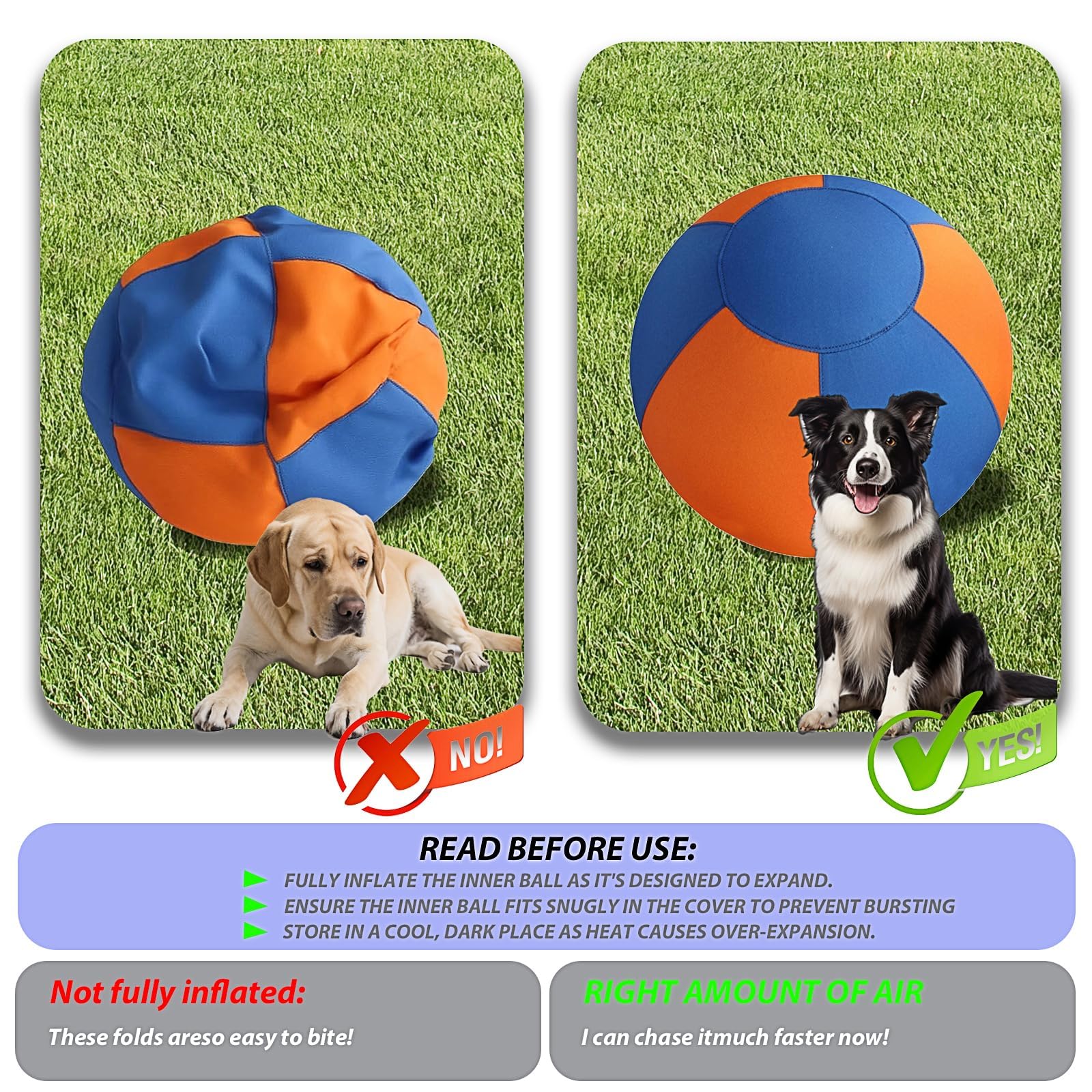 VORLHQ Herding Ball in action during outdoor training with an active dog.