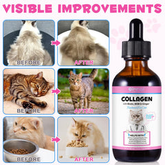 VOSIFSDIY MSM for joints and mobility in felines