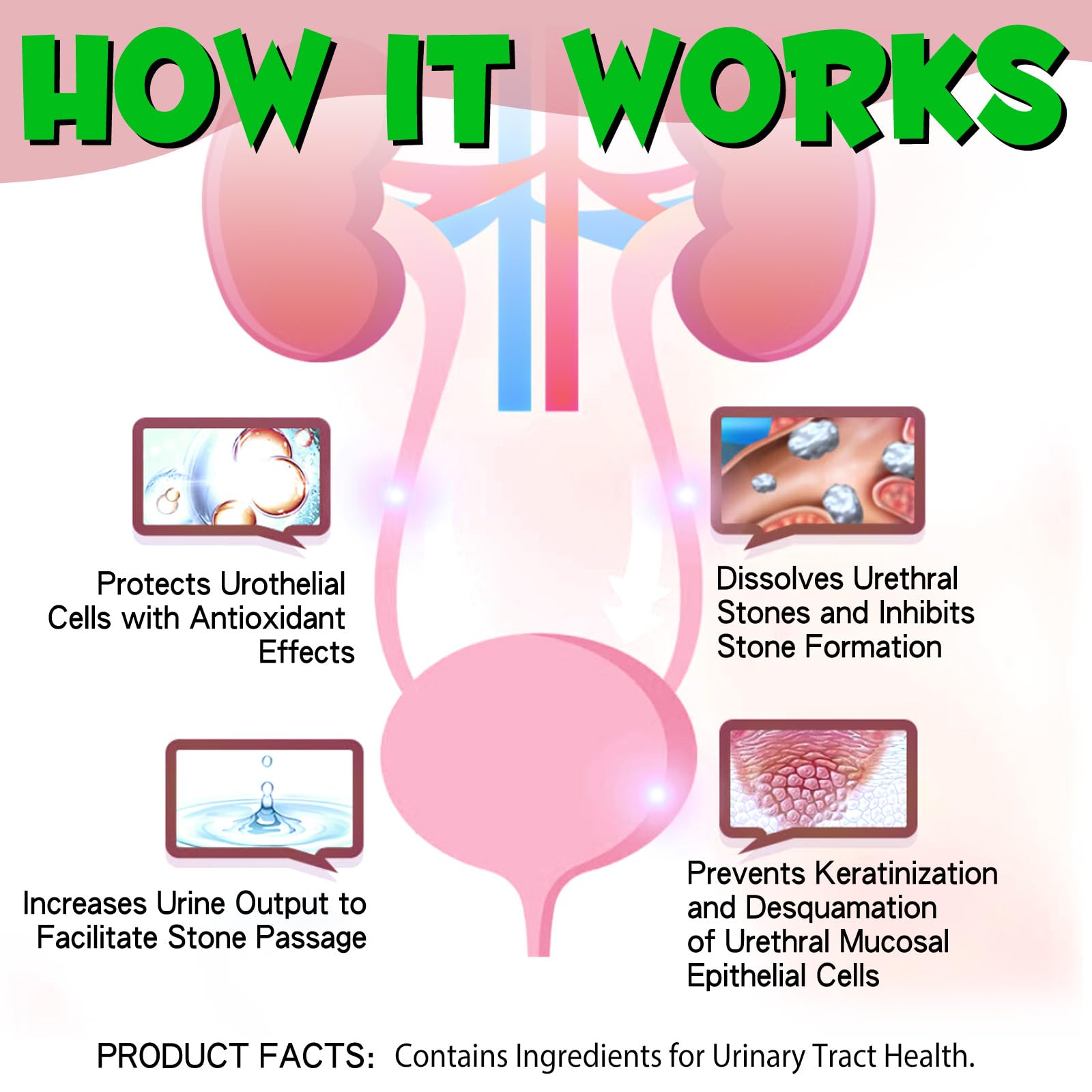 Cranberry and herbal ingredients highlighted for urinary support.