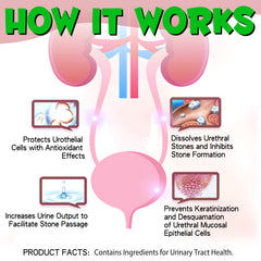Cranberry and herbal ingredients highlighted for urinary support.