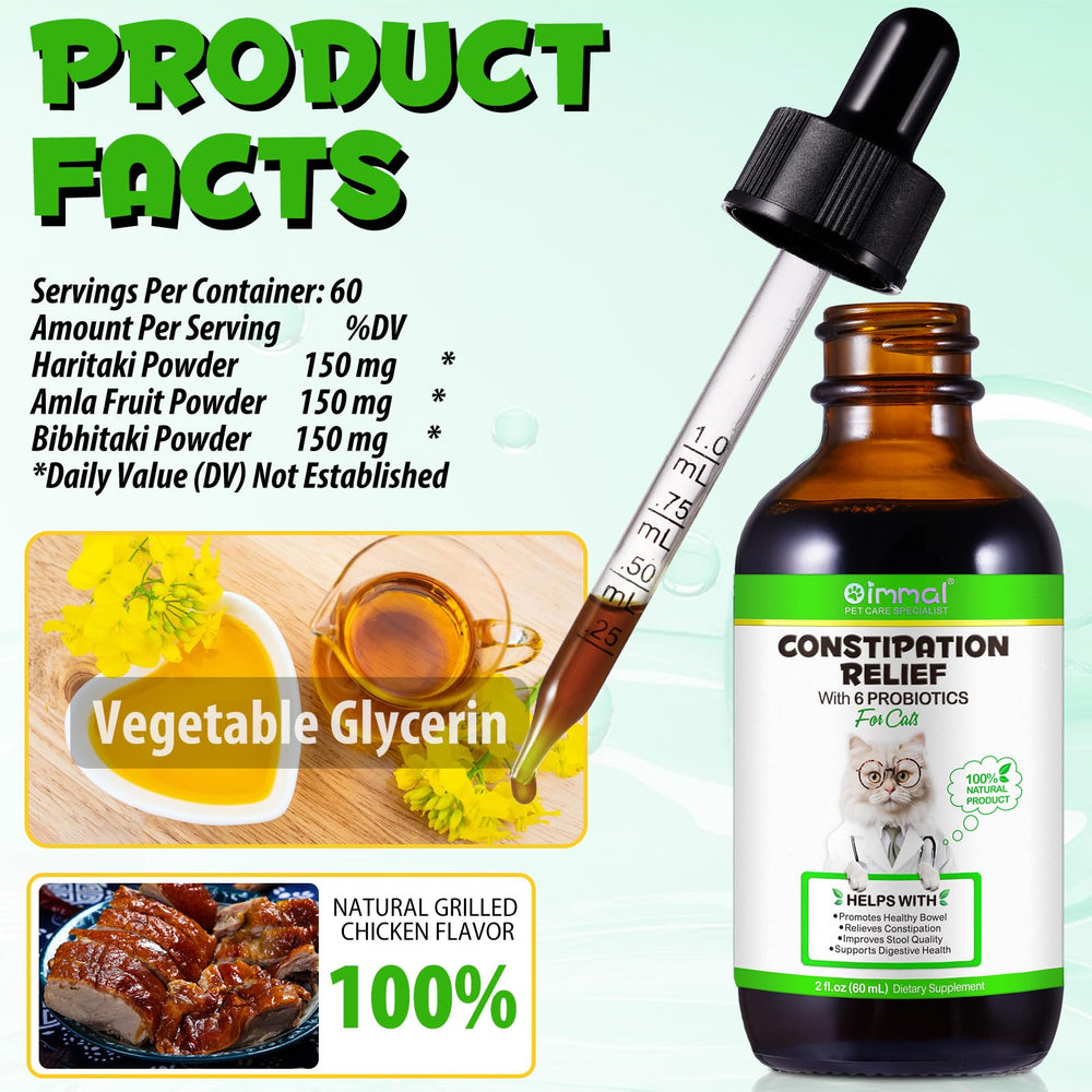 VOSIFSDIY digestive support concept illustration