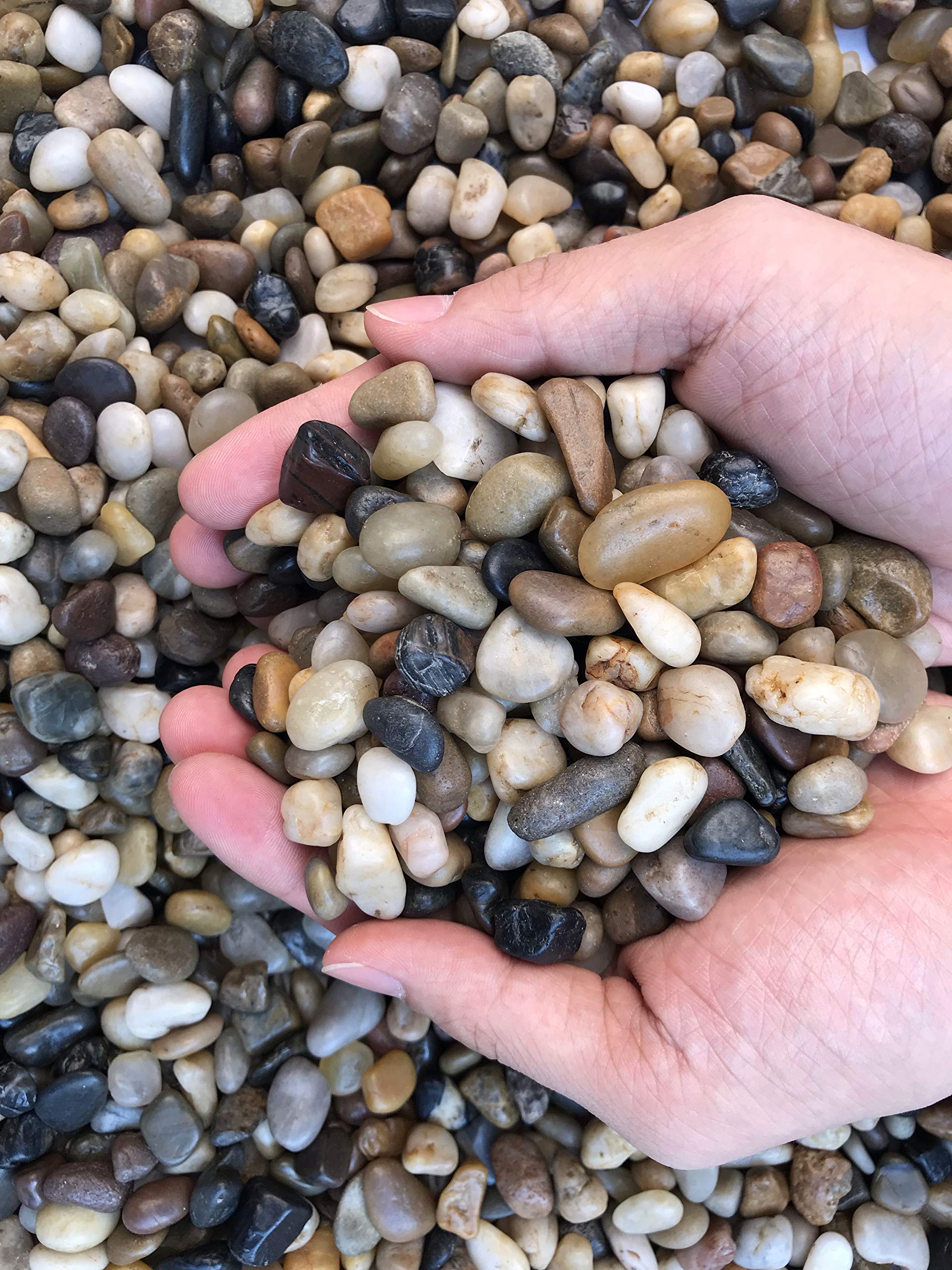Voulosimi River Rock Stones adding natural charm to flower arrangements.