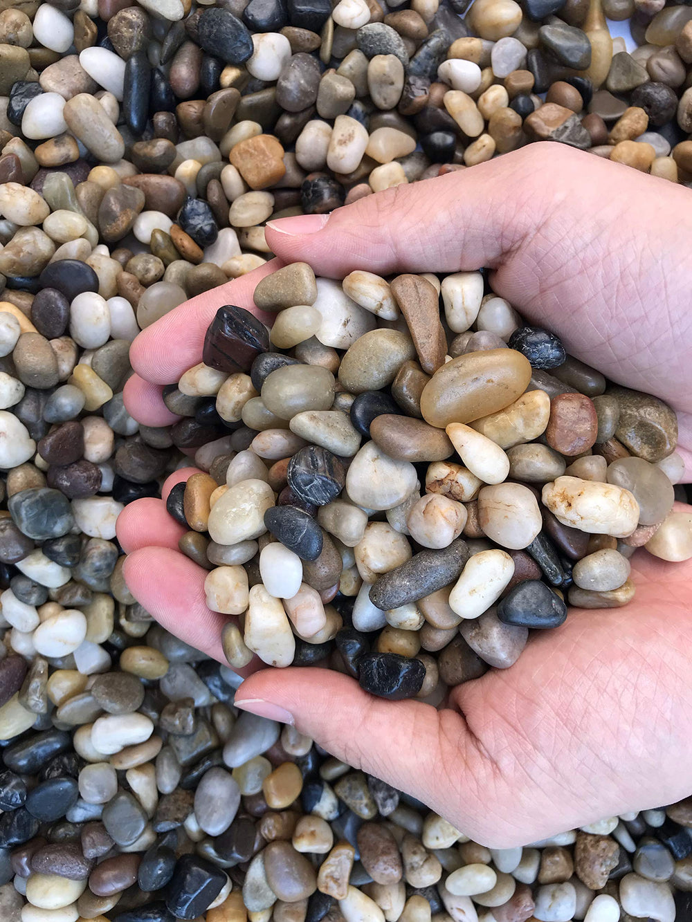 Voulosimi River Rock Stones adding natural charm to flower arrangements.