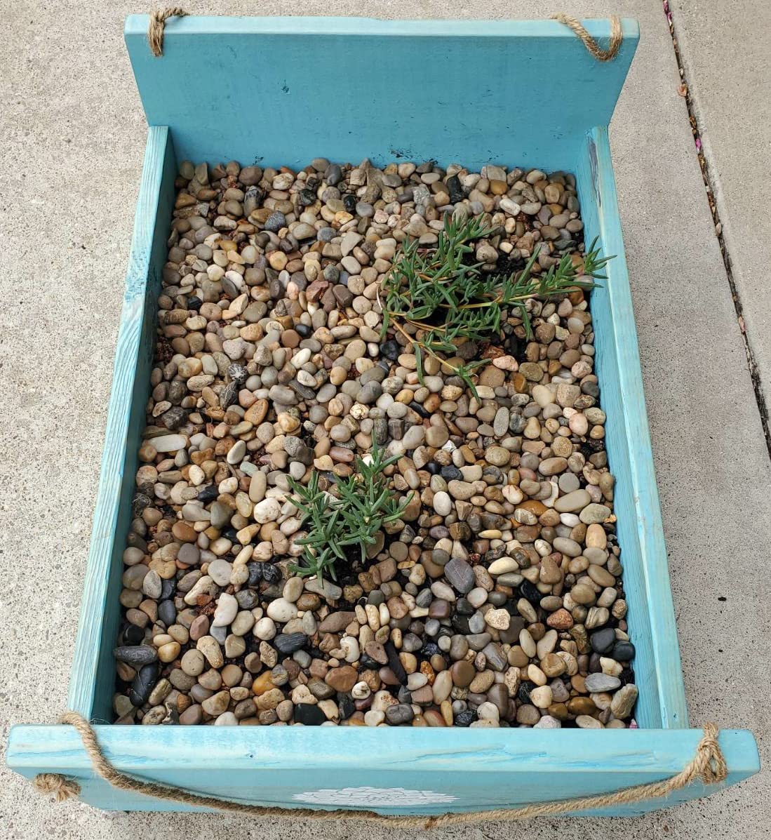 Voulosimi river rocks support soil moisture in pots and planters.