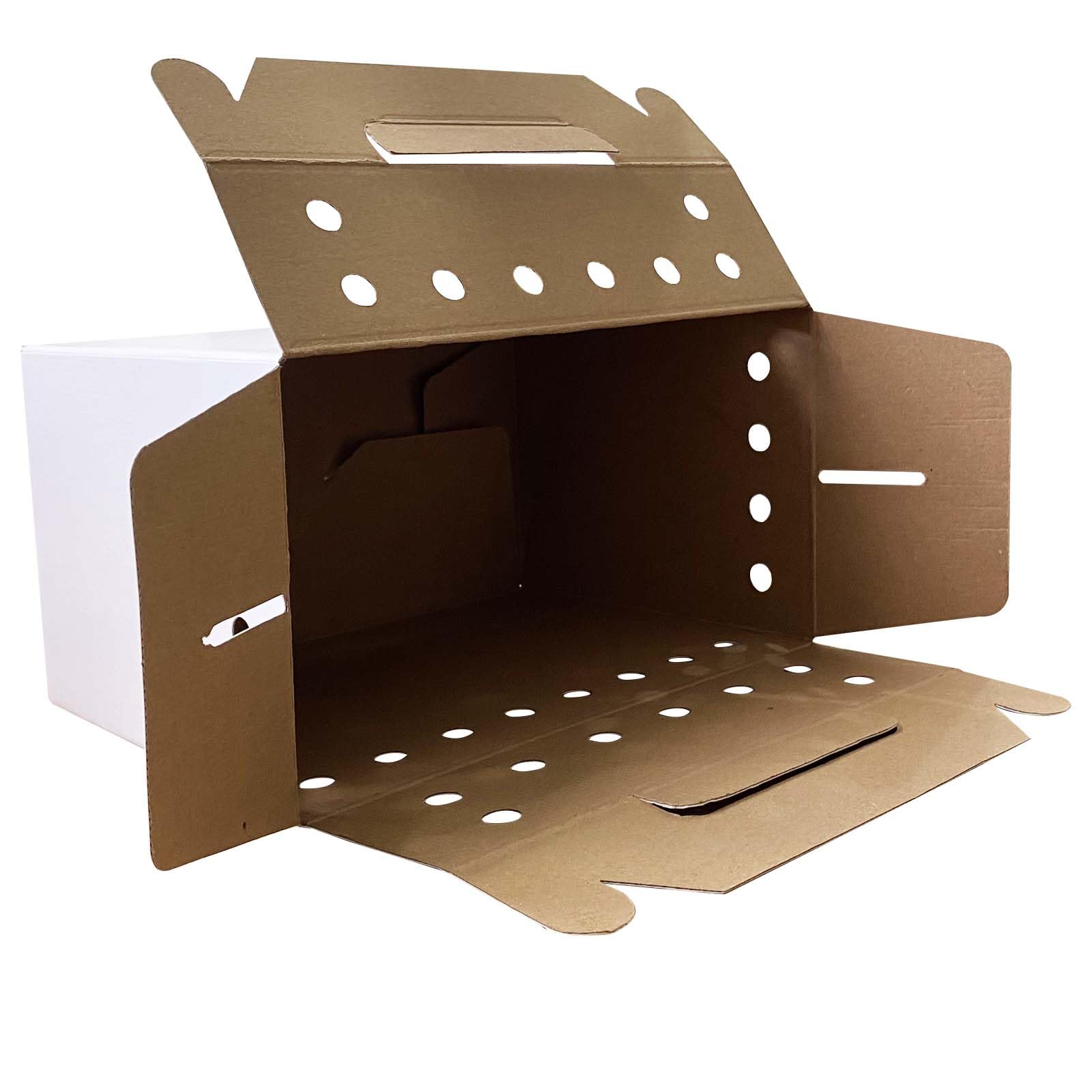 Vowcarol disposable 12-pack transport box ideal for hamsters and guinea pigs.