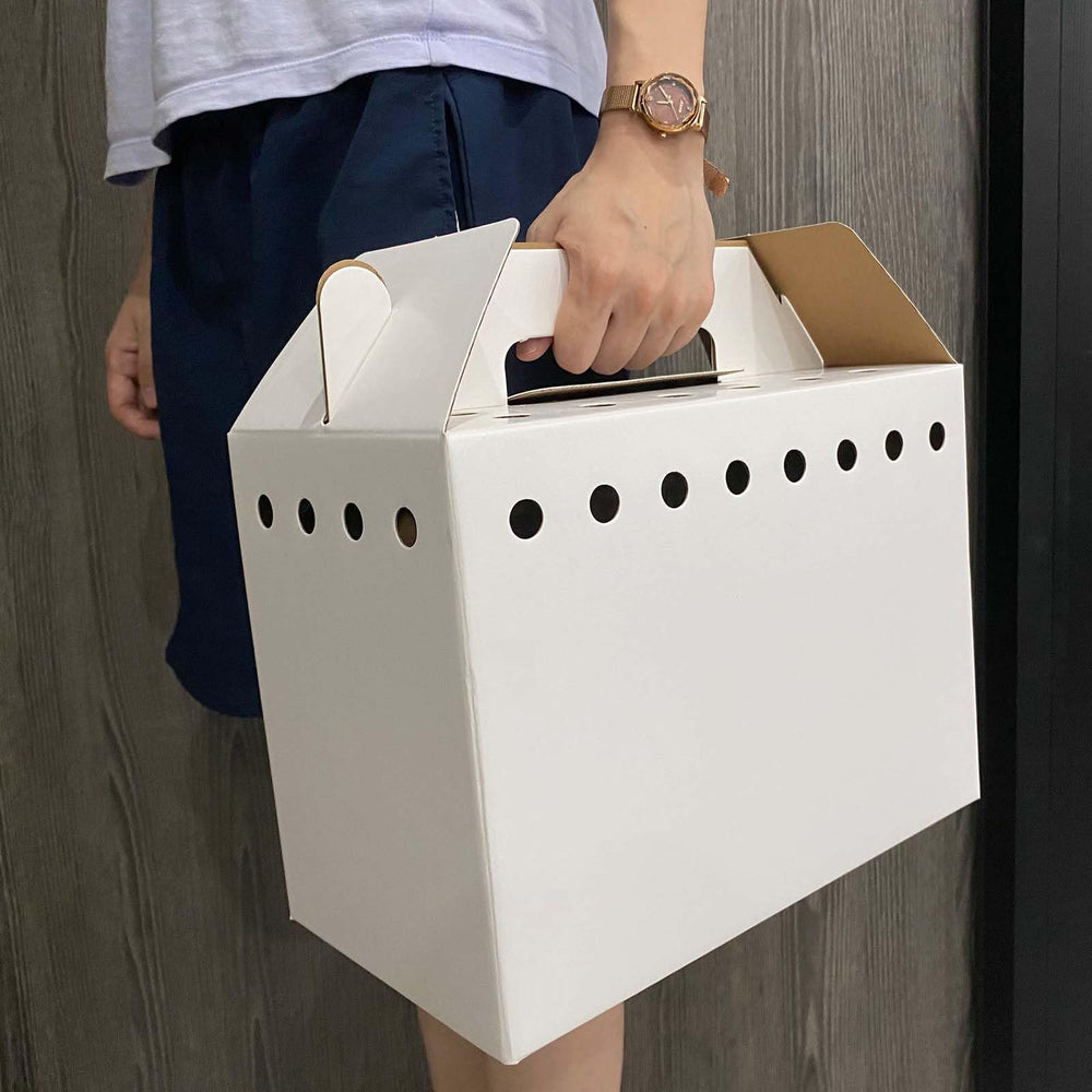 Vowcarol double-wall cardboard carrier emphasizes sturdy, eco-friendly design.