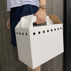 Vowcarol double-wall cardboard carrier emphasizes sturdy, eco-friendly design.