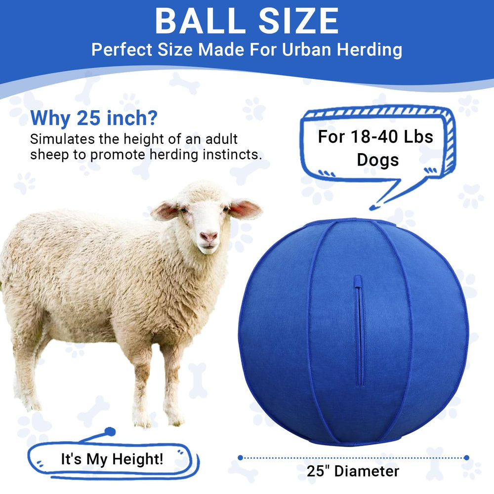 Bright blue color enhances visibility for outdoor exercise and play.