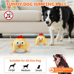 VOXGET removable ball within plush shows easy cleaning and maintenance.