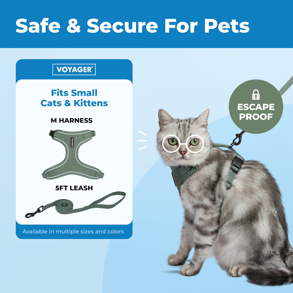 Best Pet Supplies Voyager leash 5ft with neoprene handle ideal for daily cat walks.