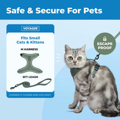 Best Pet Supplies Voyager leash 5ft with neoprene handle ideal for daily cat walks.