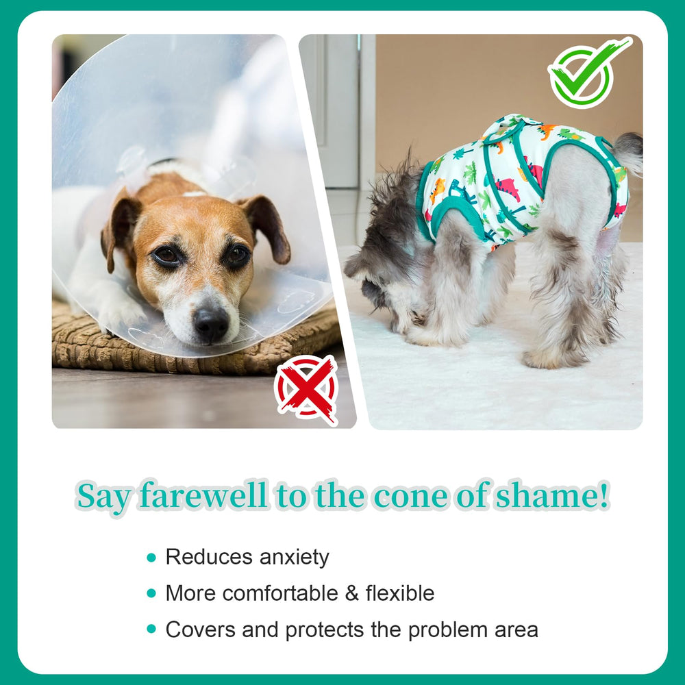 V.PET.B.R suit guards incisions and hotspots during recovery.