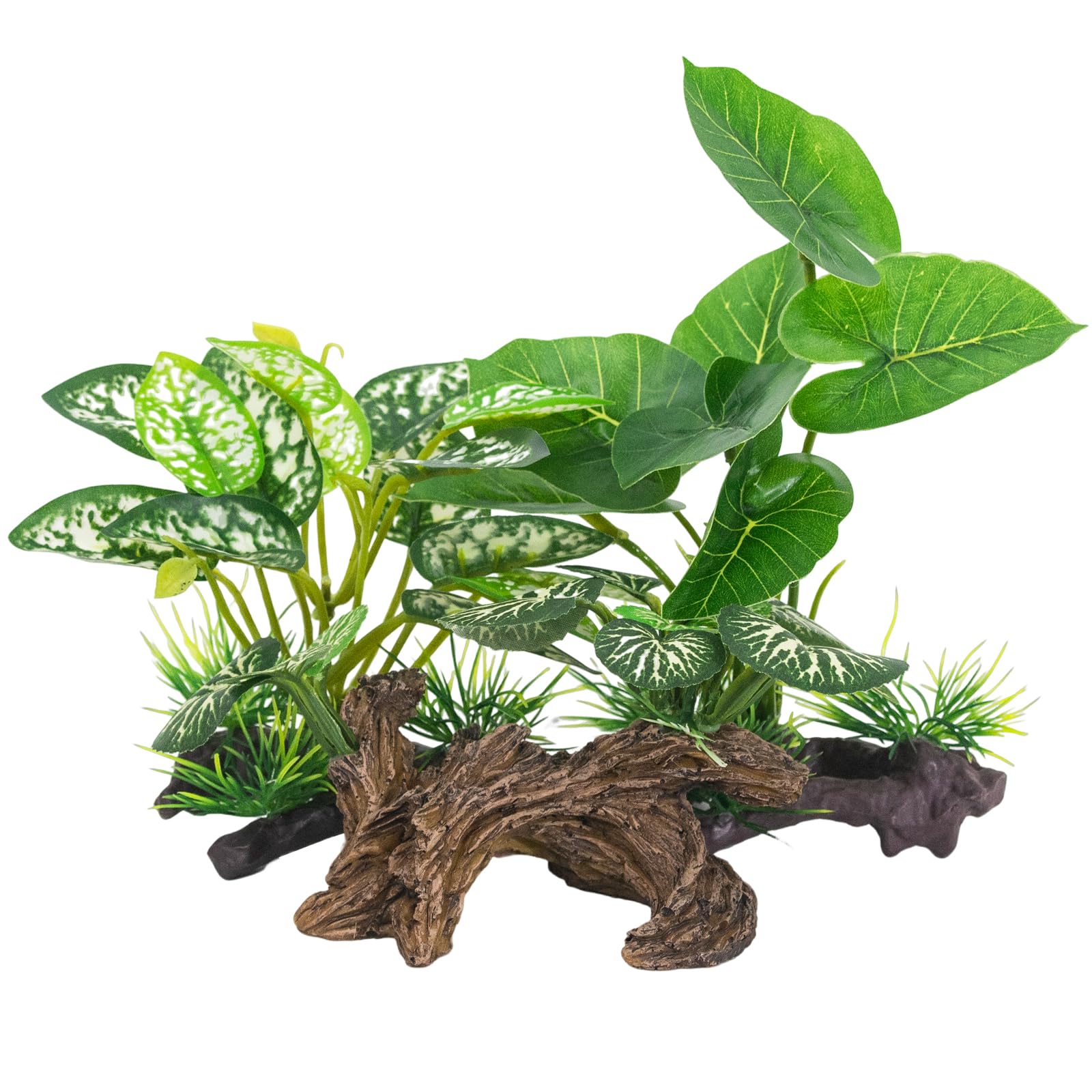Vtapliea artificial driftwood cave decor offers hiding spots for bettas.