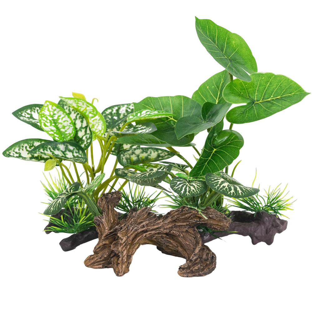 Vtapliea artificial driftwood cave decor offers hiding spots for bettas.