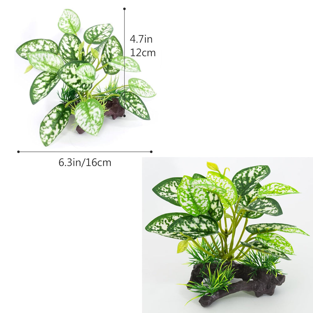 Vtapliea betta-safe plastic plants simplify tank maintenance.