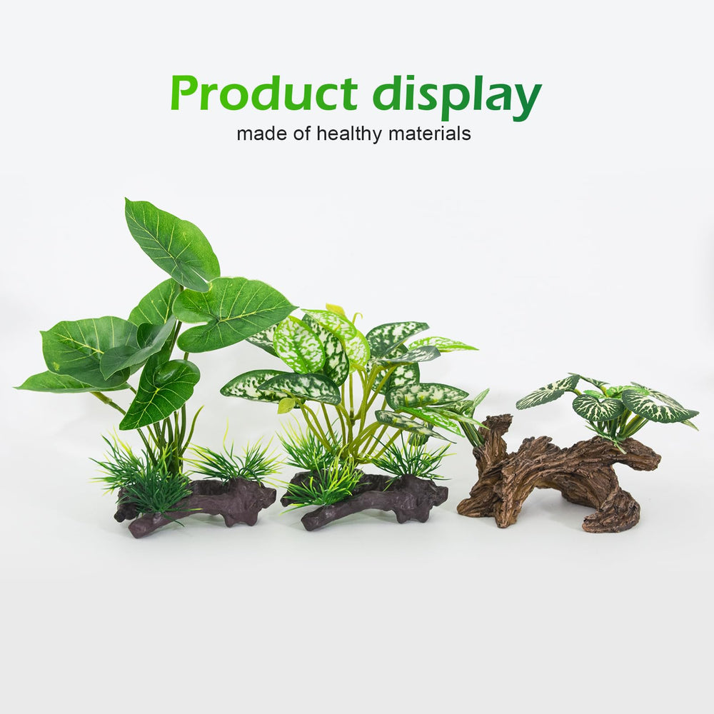 Vtapliea silk leaf plant small adds color and coverage to tanks.
