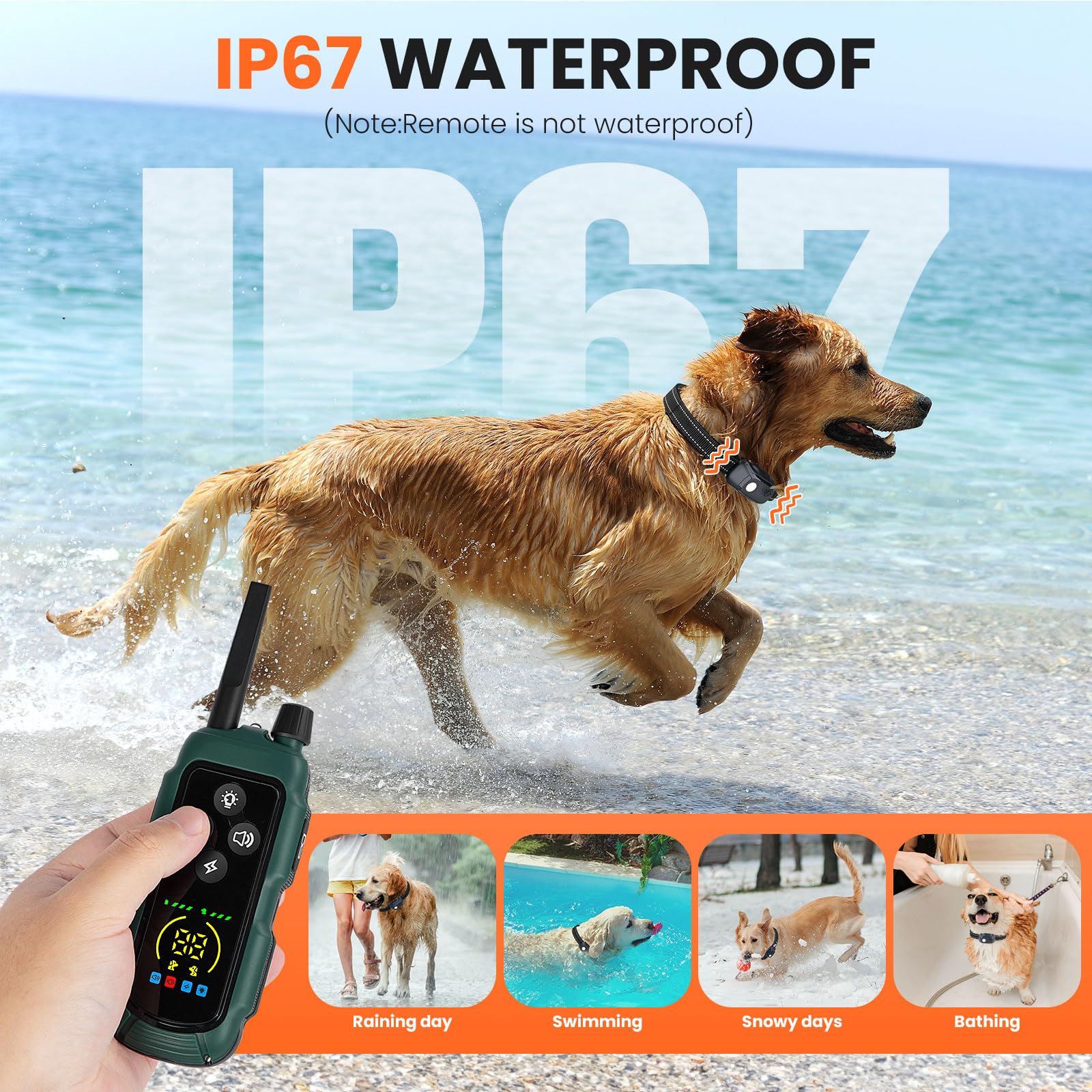 VUMXPE dual-channel system trains two dogs at once