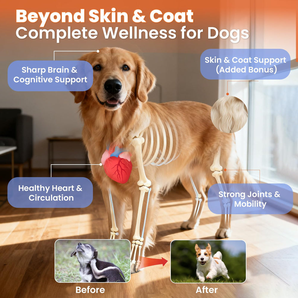VUN Salmon Oil for Dogs coat shine close-up demonstrates silky fur and reduced shedding.