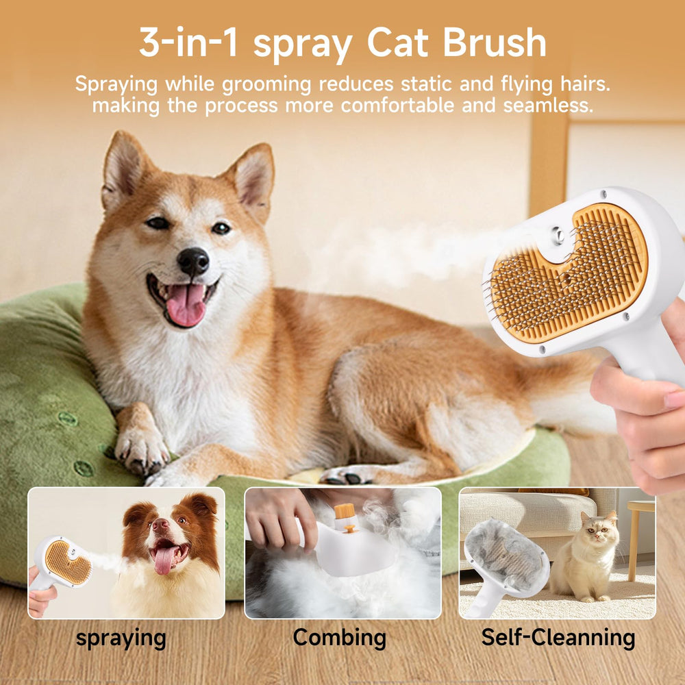 VVWVVW Short-coat cat grooming shot showing gentle detangling