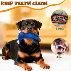VWPTCHI Donkey squeaky toy for dogs with varied textures for solo or tug play
