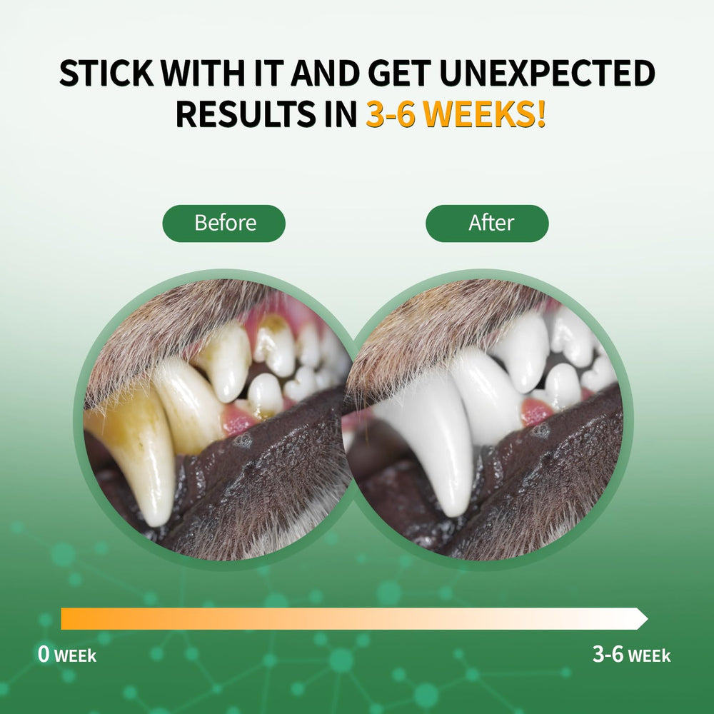 Close-up of teeth with Vyaji powder cleansing action