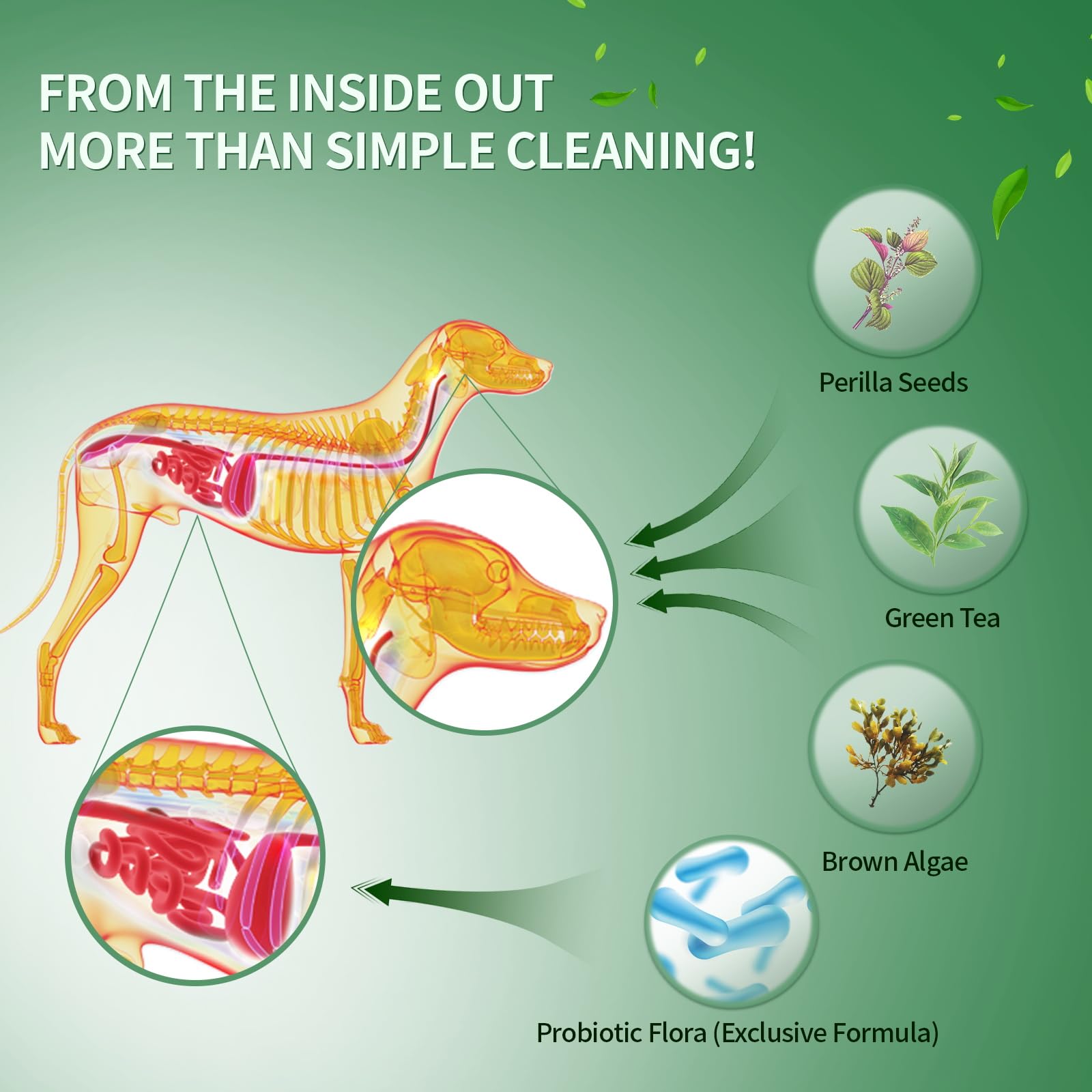 Powder sprinkled on dog food using Vyaji dental powder
