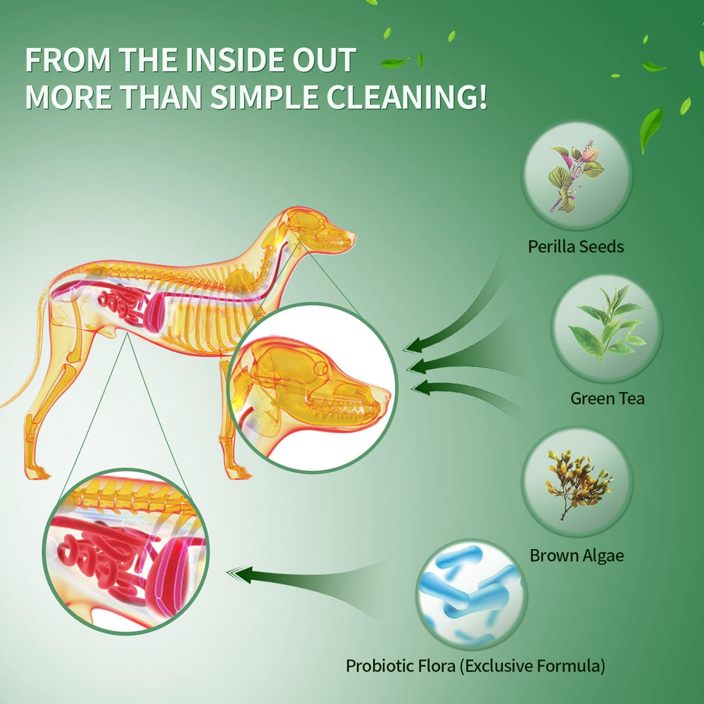 Powder sprinkled on dog food using Vyaji dental powder