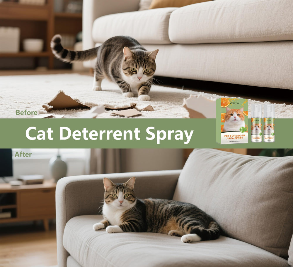 Citrus, rosemary, and peppermint in VYTATAIL create a safe home scent.