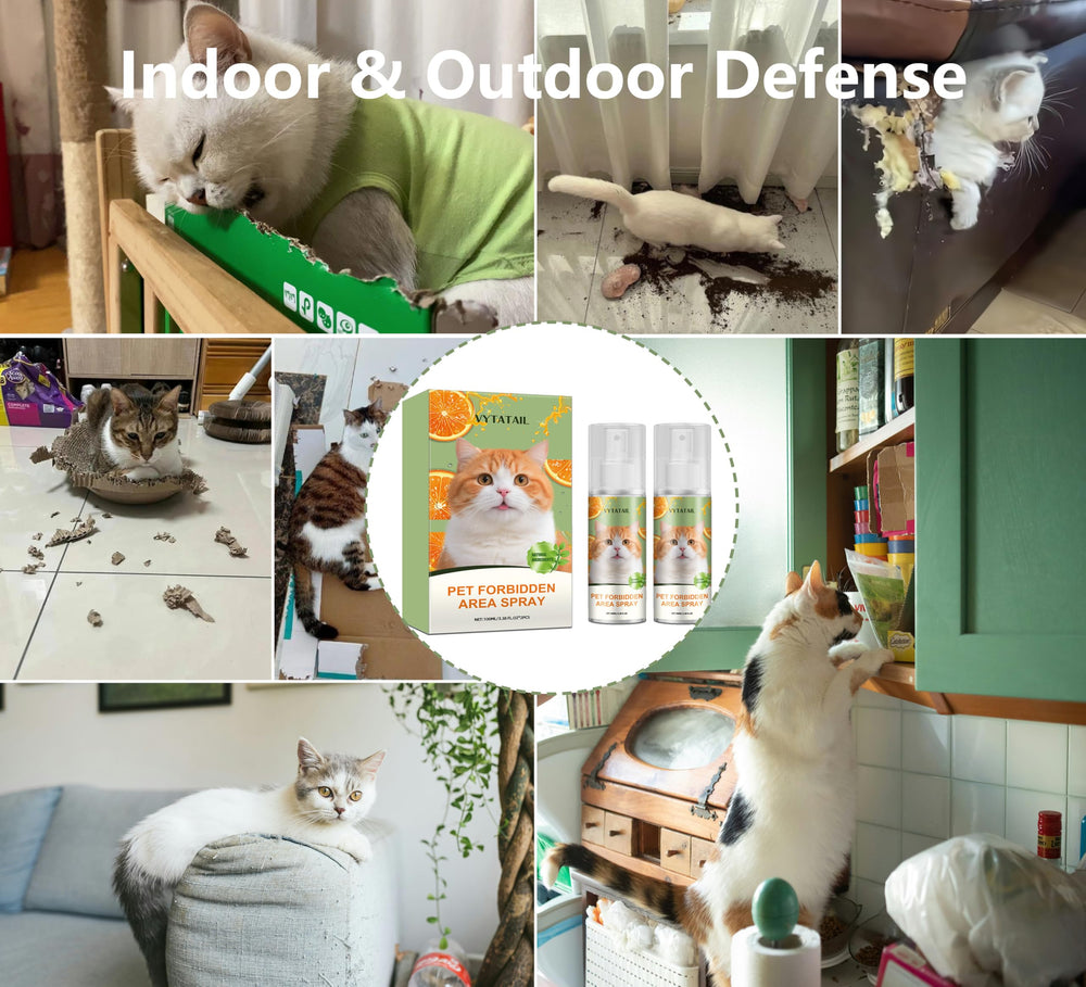 Eco-friendly packaging of VYTATAIL supports responsible home use.