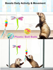 VZqola durable chew balls resist heavy ferret chewing